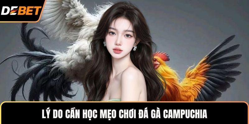 Lý do cần học mẹo chơi đá gà Campuchia