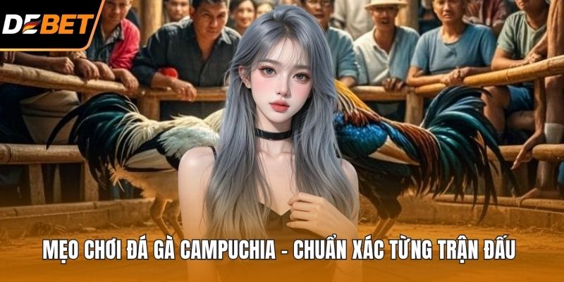 Mẹo chơi đá gà Campuchia