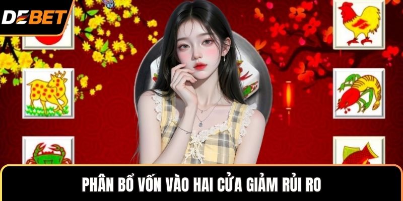 Phân bổ vốn vào hai cửa giảm rủi ro